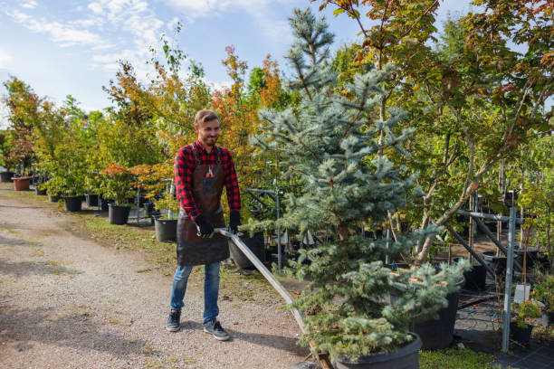 Best Commercial Tree Services  in Doylestown, OH